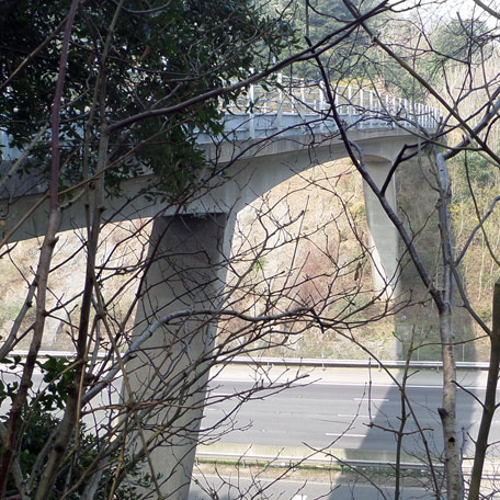 Footbridge, BS21 6SU